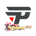 Sticker | paiN Gaming | Shanghai 2024