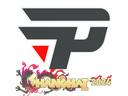 Sticker | paiN Gaming | Shanghai 2024