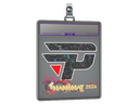 Sticker Slab | paiN Gaming (Glitter) | Shanghai 2024