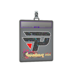 Sticker Slab | paiN Gaming (Glitter) | Shanghai 2024