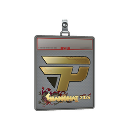 Sticker Slab | paiN Gaming (Gold) | Shanghai 2024