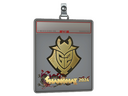 Sticker Slab | G2 Esports (Gold) | Shanghai 2024
