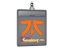 Sticker Slab | Fnatic | Shanghai 2024