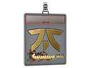 Sticker Slab | Fnatic (Gold) | Shanghai 2024