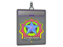 Sticker Slab | Distinguished Master Guardian (Holo)