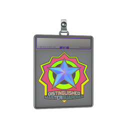 Sticker Slab | Distinguished Master Guardian (Holo)