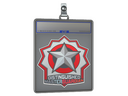 Sticker Slab | Distinguished Master Guardian