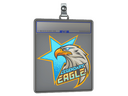 Sticker Slab | Legendary Eagle