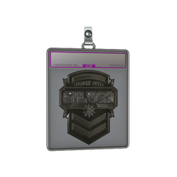 Sticker Slab | Silver (Foil)