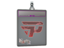 Sticker Slab | paiN Gaming (Holo) | Paris 2023