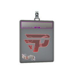 Sticker Slab | paiN Gaming (Holo) | Paris 2023