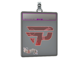 Sticker Slab | paiN Gaming (Holo) | Paris 2023