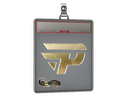 Sticker Slab | paiN Gaming (Gold) | Paris 2023