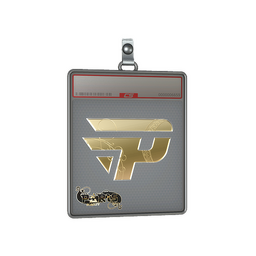 Sticker Slab | paiN Gaming (Gold) | Paris 2023