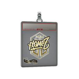 Sticker Slab | FlameZ (Gold) | Paris 2023