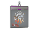 Sticker Slab | FlameZ (Holo) | Paris 2023