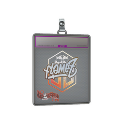 Sticker Slab | FlameZ (Holo) | Paris 2023