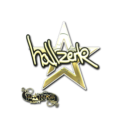 hallzerk (Gold) | Paris 2023