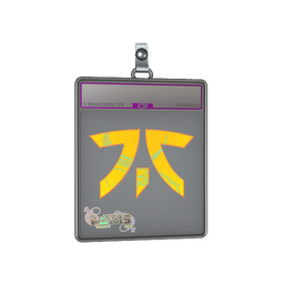 Sticker Slab | Fnatic (Holo) | Paris 2023