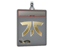 Sticker Slab | Fnatic (Gold) | Paris 2023