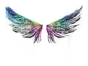 Sealed Graffiti | Wings