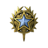 2020 Service Medal