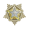 2024 Service Medal