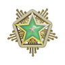 2024 Service Medal