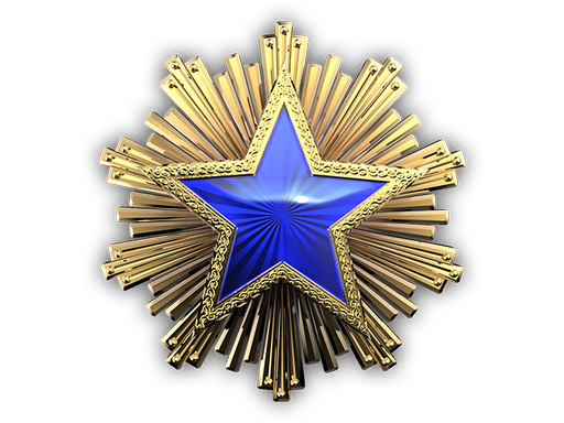 Медаль за службу в 2016