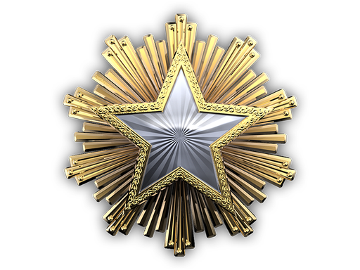 Медаль за службу в 2016