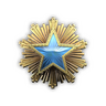 2016 Service Medal