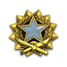 2017 Service Medal