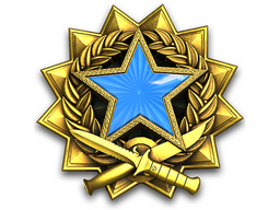 2017 Service Medal