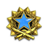 2017 Service Medal