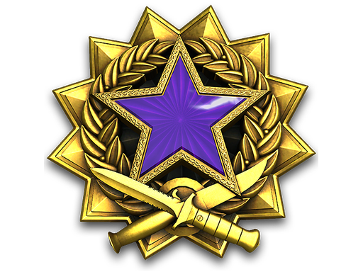 2017 Service Medal