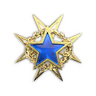 2015 Service Medal