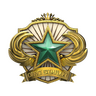 2018 Service Medal