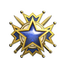 2019 Service Medal