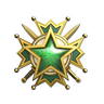 2019 Service Medal