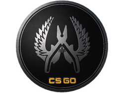Guardian Elite Pin