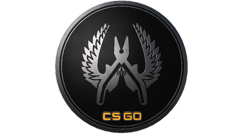 Guardian Elite Pin