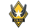 Victory Pin