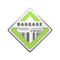 Baggage Pin