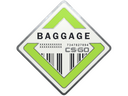 Baggage Pin