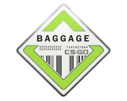 Baggage Pin