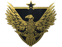 Brigadier General Pin