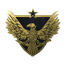 Brigadier General Pin