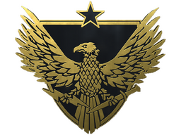 Brigadier General Pin