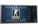 Katowice 2019 Viewer Pass