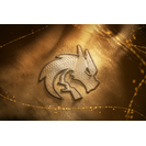 International 2026 Team Loading Screen - Team Spirit